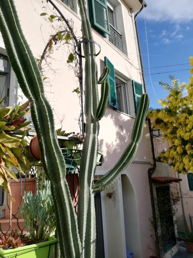 Monolocale Con Giardino E Parcheggio Privato Citra Zero Zero Ottanta Trentuno Lt 0281 Apartment Империа Екстериор снимка