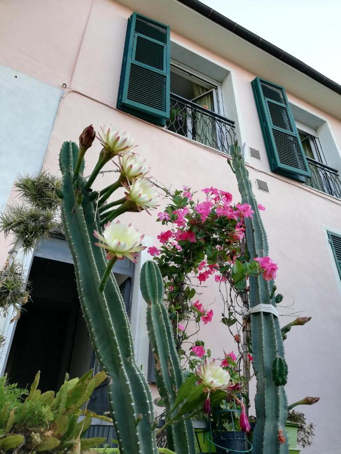 Monolocale Con Giardino E Parcheggio Privato Citra Zero Zero Ottanta Trentuno Lt 0281 Apartment Империа Екстериор снимка