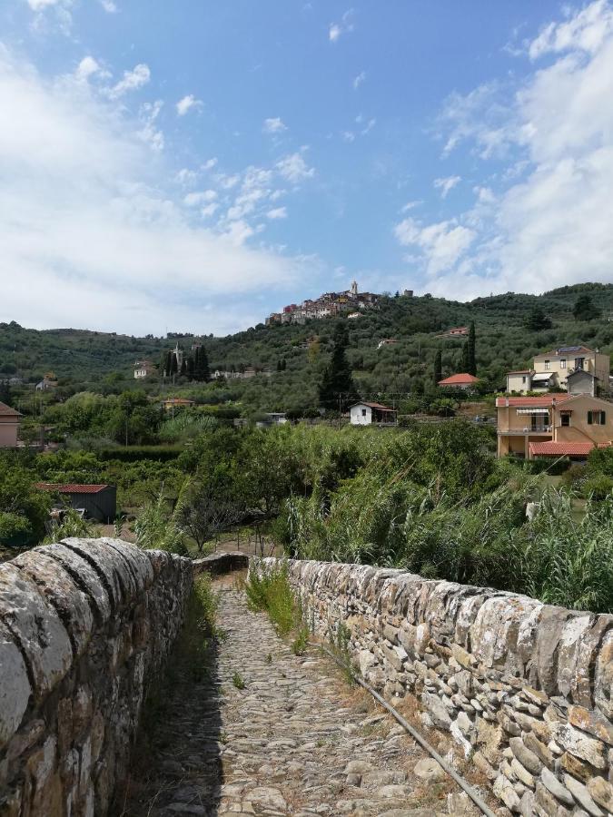 Monolocale Con Giardino E Parcheggio Privato Citra Zero Zero Ottanta Trentuno Lt 0281 Apartment Империа Екстериор снимка